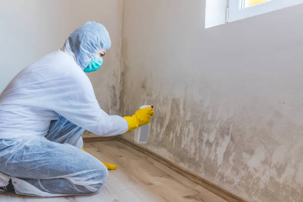 Hvac And Air Duct Mold Remediation inspection of HVAC system in Damascus