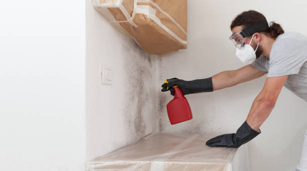 Attic Mold Remediation treatment on roof deck in Damascus